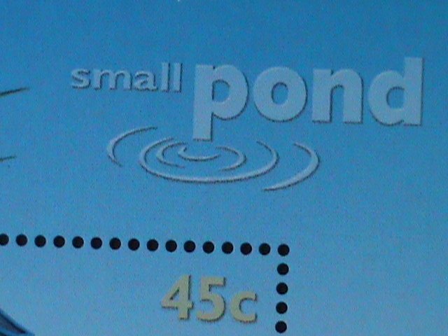 ​AUSTRALIA-1999-SC#1790- SMALL POND-LOVELY DRAGONFLY-BIRD-FROGS MNH -S/S VF