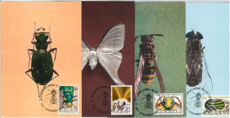 63440 - BELGIUM - POSTAL HISTORY: set of 4 MAXIMUM CARD 1970 - INSECTS moths-