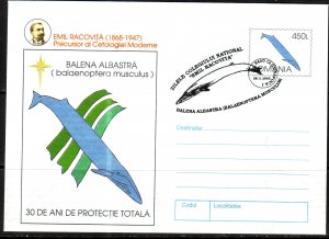 Romania Whales Cover Stationary / 1