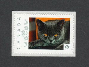 BLACK CAT = Picture Postage Personalized/custom stamp MNH Canada 2014 [p72ca3/3]