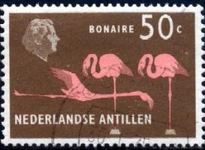 Bird, Flamingoes, Bonaire, Netherlands Antilles SC#253 used