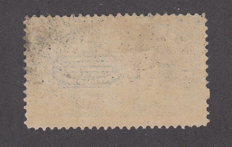 United States #E2 Mint Special Delivery Stamp