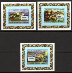 Guinea 2007 TURTLES - FISHES - MARINE LIFE 3 Souvenir Sheets IMPERFORATED MNH