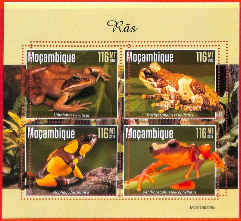 A4286 - MOZAMBIQUE - ERROR MISPERF, Miniature sheet: 2019, Frogs