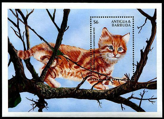 HERRICKSTAMP ANTIGUA Sc.# 2106 Cats - Kittens Souvenir Sheet