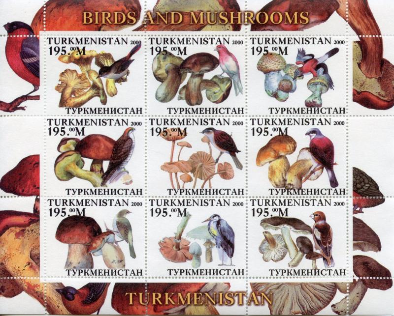 Turkmenistan Stamps 2000 MNH Birds & Mushrooms Finches Fungi Nature 9v M/S