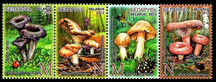 2013 Belarus 971-74 Mushrooms 7,00 €