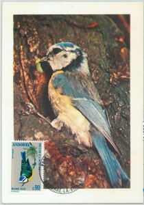 63370 - FRENCH ANDORRA - POSTAL HISTORY: MAXIMUM MAP - BIRDS 1973-