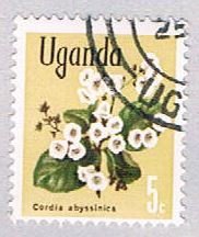 Uganda Flower (AP101330)