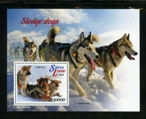 SIERRA LEONE  2019 SLEDGE DOGS SOUVENIR  SHEET MINT NH