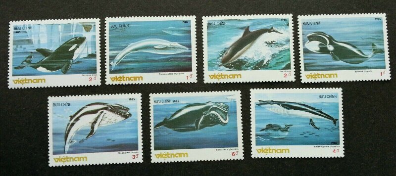 Vietnam Whale 1985 Marine Life Dolphin Mammals Ocean Cetacean (stamp) MNH