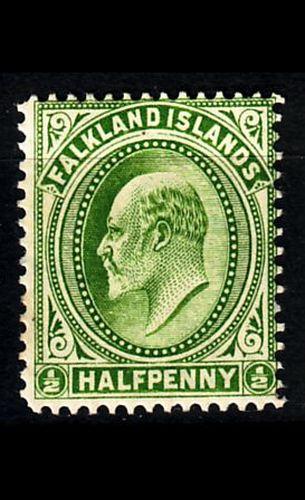 FALKLAND ISLANDS [1904] MiNr 0017 y ( */mh )