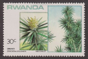 Rwanda 1168 Dracaena Steudneri 1984