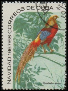 Cuba 1304 - Used - 1c Golden Pheasant / Christmas (1967) (cv $0.95)