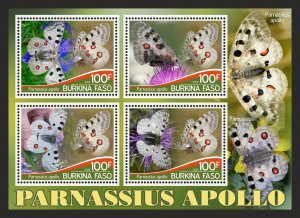 Stamps.Fauna, Butterflies  2025 year 8 sheets perforated