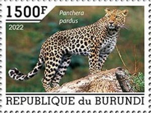 Burundi - 2022 Leopards on Stamps - Stamp - BUR2201048a