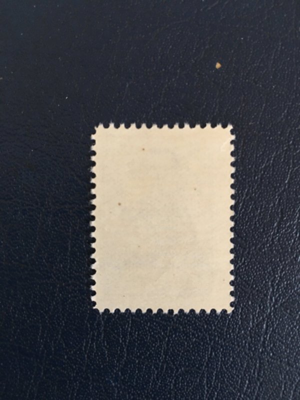 Iran , persia