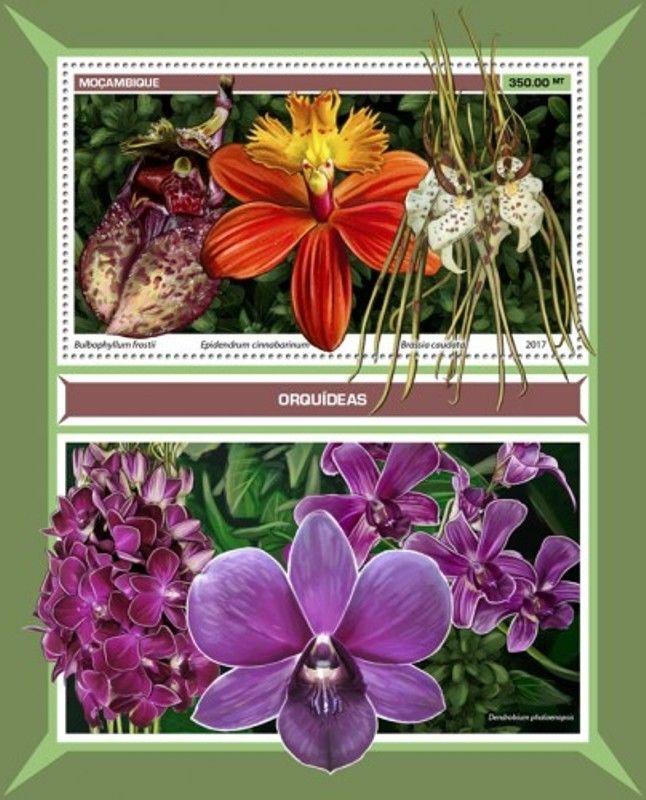 Mozambique - 2017 Orchids on Stamps - Stamp Souvenir Sheet - MOZ17119b