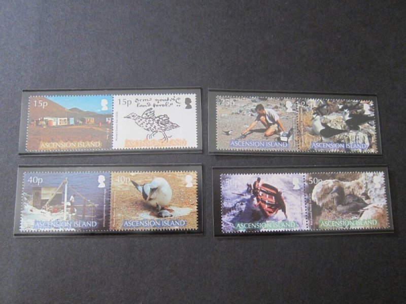 Ascension 2007 Sc 920-3 bird set MNH