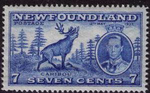 Newfoundland # 235  Mint  VF-XF  NH perf 13.5 Cat $ 7