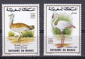 Morocco, Fauna, Birds MNH / 1988