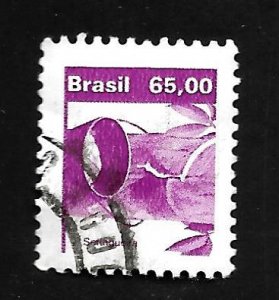 Brazil 1984 - U - Scott #1934