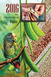 MOZAMBIQUE 2016 SHEET YEAR OF PULSES
