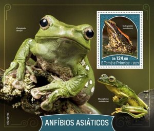 St Thomas - 2021 Asian Amphibians, Fungoid Frog - Stamp Souvenir Sheet ST210540b