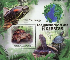 Turtles Stamp Geochelone Sulcata Trachemys Scripta Elegans S/S MNH #4321 /Bl.411