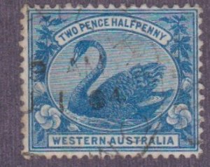 Western Australia # 75, Swan, Used, 1/3 Cat.