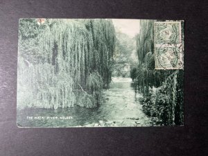 1906 New Zealand Postcard Cover Nelson to Salzburg Austria The Matai River