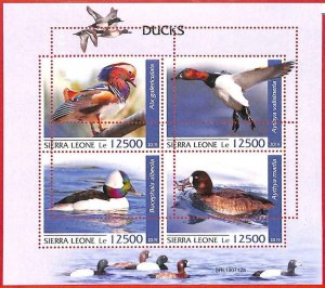 A4535 - SIERRA LEONE - ERROR MIPERF, miniature sheet: 2019, ducks, birds-