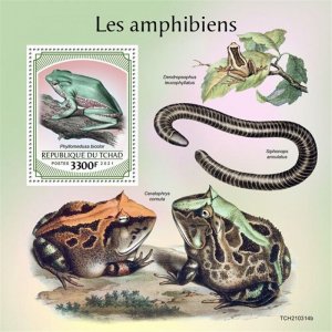 Chad - 2021 Amphibians, Bicolour Tree-frog - Stamp Souvenir Sheet - TCH210314b 