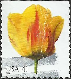 # 4185 USED TULIP
