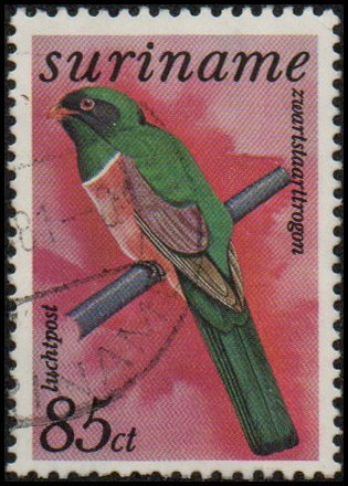 Suriname C70 - Used - 85c Black-tailed Trogon (1977) (cv $1.05)