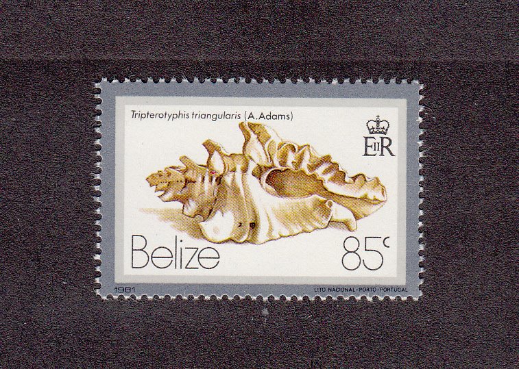 Belize Scott #483 MNH