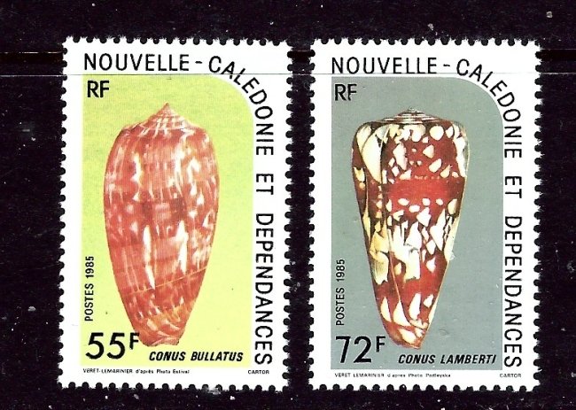 New Caledonia 521-22 MNH 1985 Sea Shells    (ap3761)