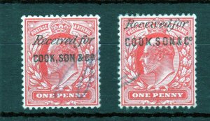 EDWARD VII 1d x2 WITH 'COOK, SON & Co' PROTECTIVE OVERPRINTS 