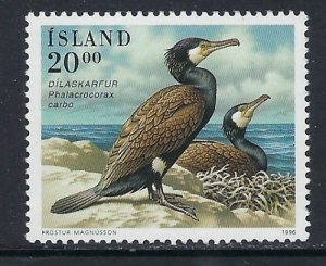 Iceland 814 MNH 1996 Ducks (ak4269)