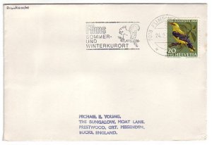 Cover / Postmark Switzerland 1970 Squirrel