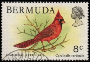 Bermuda 367 -Used - 8c Cardinal (1978) (cv $2.20) (1)