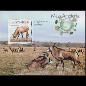 MOZAMBIQUE 2010 - Scott# 1931 S/S WWF-Roan Antelopes NH