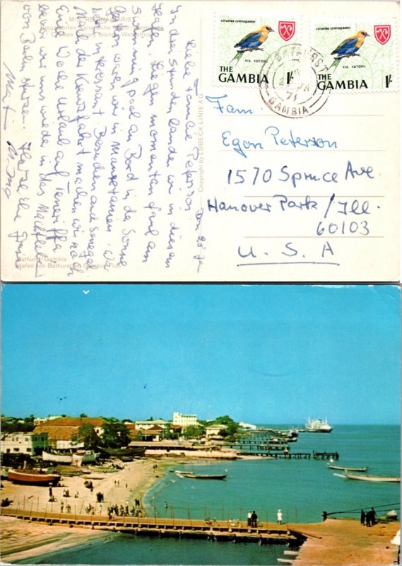 Gambia, Picture Postcards, Birds