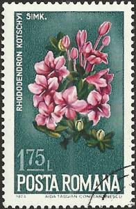 ROMANIA - 2516 - Used - SCV-0.25