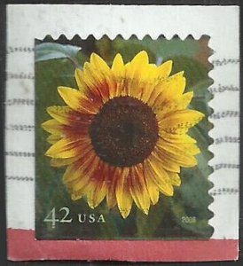 # 4347 USED SUNFLOWER