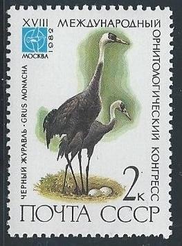 Russia SC#5050 MNH SCV$0.20 