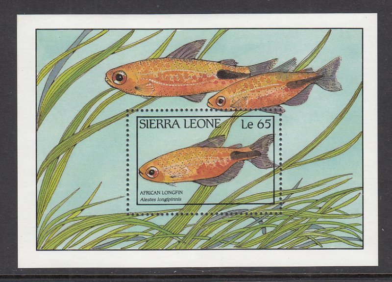 Sierra Leone 963 Fish Souvenir Sheet MNH VF