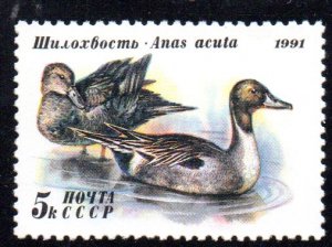 RUSSIA 6010 MNH BIN $.35 DUCKS