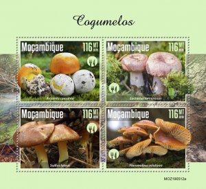 Mozambique 2019 MNH Mushrooms Stamps Amanita Lactarius Fungi Nature 4v M/S