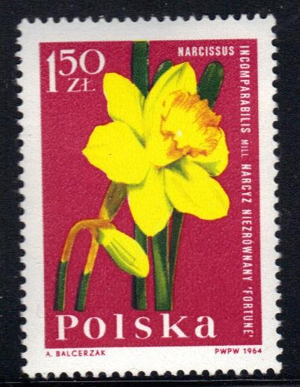 Poland   #1286   MNH   1964   garden plants 1.50z